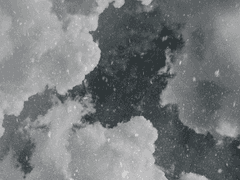 사색思索이라는 것도 해? 네가?