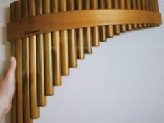 팬플룻 연주에 빠진 뱀