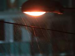 운명이니까. 15 (完)