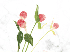 Seasons of LOVE - part 02