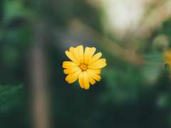 제자리걸음에서 제대로 된 걸음으로.