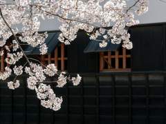 (닌자고)돌이킬 수 없는 것