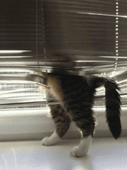 네게 관심이 없던 나에게