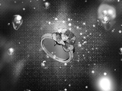 동백꽃이 피어난 자리에 목화꽃이 피고,