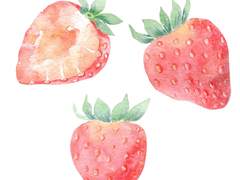 [후나란] 외출걱정