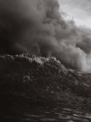 상어가 우는 밤