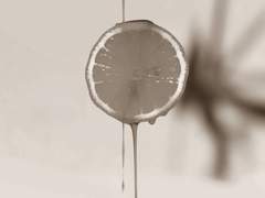 저, 사니와 맞습니다 : Ep. 11(1)