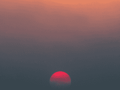 [IDEA Laboratory] _ For the paradise :: profile