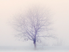 [3] 날개 있는 천사 (2)