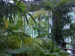 (관대한 손길) 후기