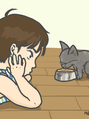 고양이 수인 원