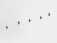 [ 비공개 신청서 / 류세희 ]