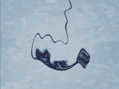 어느 여름날의 오후 -3-