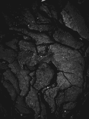 스텔라투스 메모리아