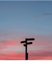 강과 약의 공존