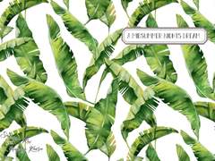 [레이카오] A Midsummer Night’s Dream