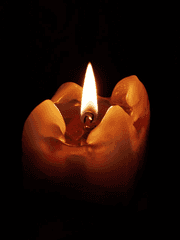 [팡푸] 사계의 꿈