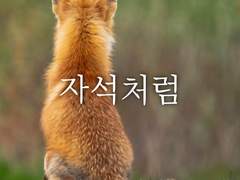 자석처럼 (외전 포함)