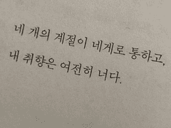 우리 모두가 누군가의 첫사랑이었을 것이다