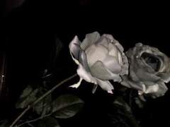 To Be Alone With You