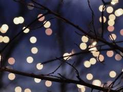 [잇큐아곤TS] 숙박비는 안 내셔도 됩니다