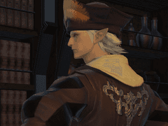 사대 명가에 묻다