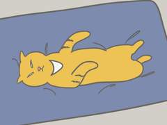 똑똑냥& 잠냥이