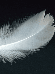 [김태형] 순결할진 몰라도, 순수하진 않은데.