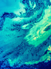 너의 7일에 대하여