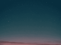 검은 수녀 씨에게