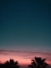 신비 종말의 날