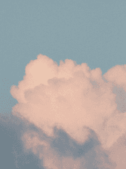 뮹의 짧은 뭉치