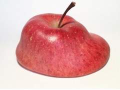 눈떠보니 아프리카여캠