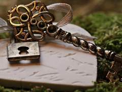 Until the lights at the party die down (3)