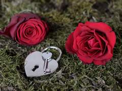 [라이브러리 오브 루이나] 마음을 기댈 수 없는 관계