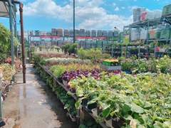 어디 뭘파는지 구경이나 좀