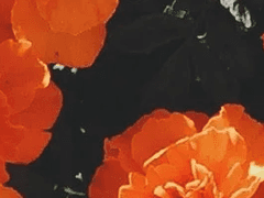 한국풍 반고정틀 글 커미션(일반)