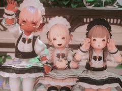 2021-2022 최대키 여라펠