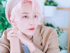 Eustoma russelianum 02