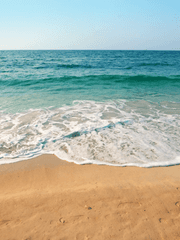 흔한 여름날의 이야기