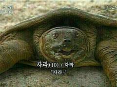 [헤어질 결심] 감상: 이 영화가 나쁘지 않은 이유