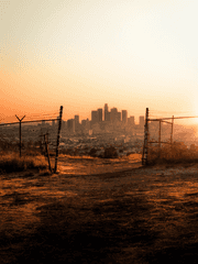 [좀비 아포칼립스]