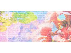 요하리 사요하 / 19 / XX