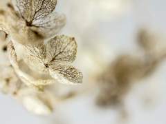 오늘도 활기찬 리버대