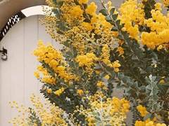 한 유화 XX 1학년 미술계