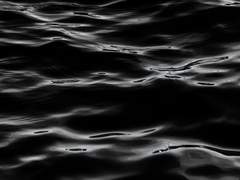 찬란한 그들의 유토피아