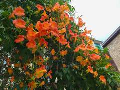 차를 긁어먹었고