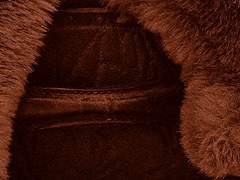 에드윈 / 남성 / 11세 / 심부름꾼