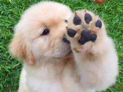 여기는 반인반수심리상담센터입니다! 11