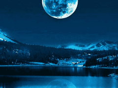 멈춰진 시간을 깨우는 바람, 따스한 바람이 부는 곳에 꽃이 피어나듯